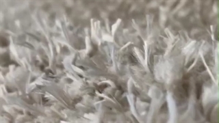 ویدئو نمای نزدیک فرش شگی نسکافه ای