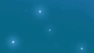 زیرانداز، روفرشی سبک یزدی