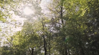 چو یار ناز نماید شما نیاز کنید