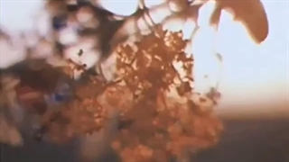 general kim taehyung:)