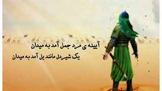 مداحی وحیدشکری.شهادت حضرت قاسم.مداحی زیبا