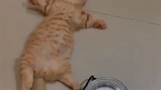 مگه نه؟؟؟؟؟؟