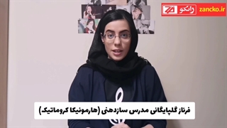 برای یادگیری ساز دهنی چند روز در هفته تمرین داشته باشیم ؟