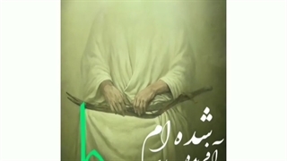 مداحی سیب سرخی.شهادت امام علی(ع).استوری