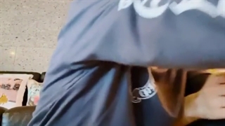 گربه ی لیسا