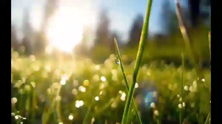 رئیسی رئیسجمهور شدددد♡~~~♡