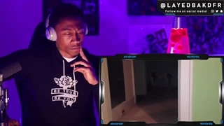 Cats and Dogs That Saw Something Their Owners Couldn't See ( Nuke's Top 5 ) [REACTION!!!]