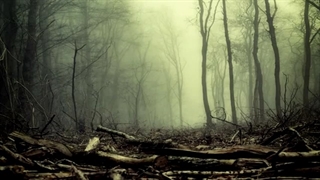 Abyssphere - Снова и снова (Again and Again) موزیک