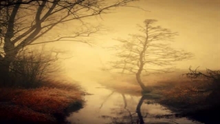 Raflum - Twilight Mizzle موزیک