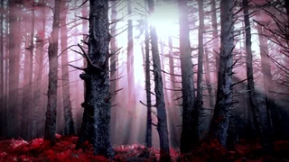 Insomnium - The Bitter End (with lyrics) موزیک