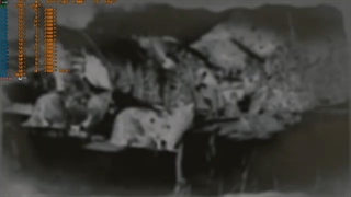 1080p Gaming: R9 290 Vs Red Dead Redemption 2 (Quality Preset)