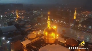 میشه ضامنم بشی - غلامرضا صنعتگر | نماهنگ امام رضا (ع) دلنشین