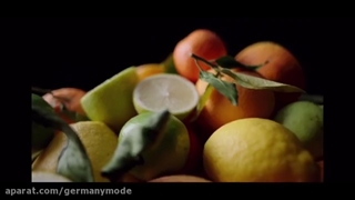 آب مرکبات گیری اسمگ ایتالیا Smeg Zitruspresse در سایت جرمنی مد