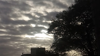 فیلمبردار-حسام الدین شفیعیان