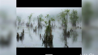 ترسناک ترین مناطق ایران