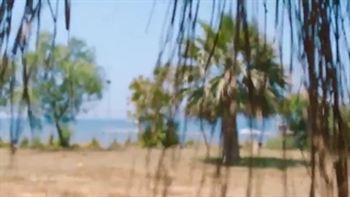 سریال ada masali داستان جزیره قسمت 2 با زیرنویس فارسی