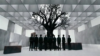 Black Swan/:/SF9(خوب شد؟)