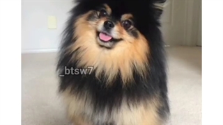 بخش مورد علاقم از.......