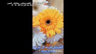گلفروشی مزرعه گل در بیرجند