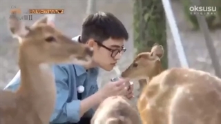 سفید برفی:)))❤️