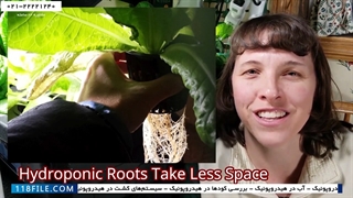 آموزش کشت هیدروپونیک | کشت هیدروپونیک (جلوگیری از پنج اشتباه رایج )