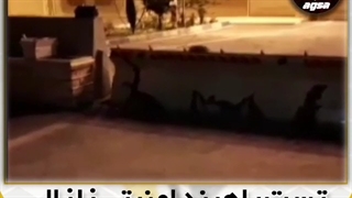 فروش راهبند امنیتی دفنی 09130520955