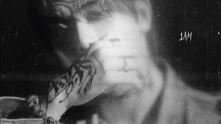 Hoya-- someday -nolae