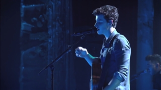 Shawn Mendes _Bad Reputation