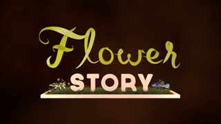 Flower Story