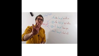 کاربرد have got