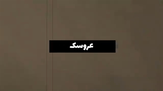 ویدیوهایی که ماورا و روح را ثابت می کند‌ | ورود پلیس به باشگاه ارواح
