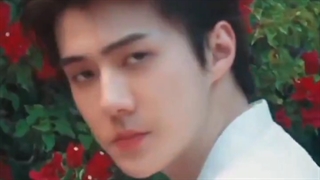 ویدیو میکس سهون