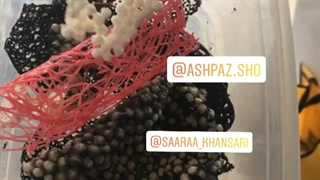 آموزش کیک در آموزشگاه آشپزشو قنادشو