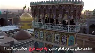 امام زمان (عج) و زائر امام رضا (ع)