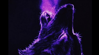 من گرگ شدم ..