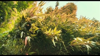 دانلود فیلم باغ اسرار آمیز با دوبله فارسی و بدون سانسور