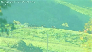 نمونه ویدیو ضبط شده با دوربین گردان PTZ استارلایت داهوا مدل DH-SD49225T-HN