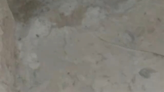 ساروج