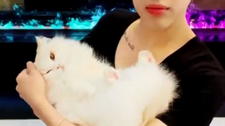 لایو چنل سولوی بم بم + زیرنویس فارسی آنلاین (توضیحات)