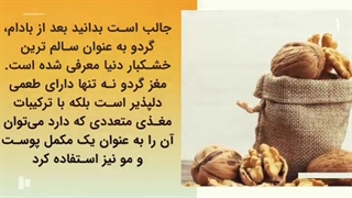 خرید عمده آجیل