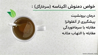 چای اکیناسه | عطاری آنلاین | عطارک