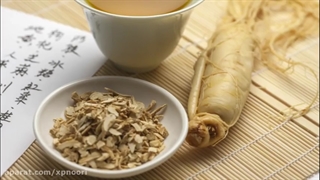 همه چیز درباره گیاه جین سنگ