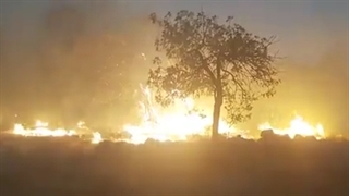 منطقه حفاظت شده کوه خامی گچساران در محاصره آتش است