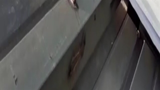 اجرای سقف عرشه فولادی آبادان 09121505650