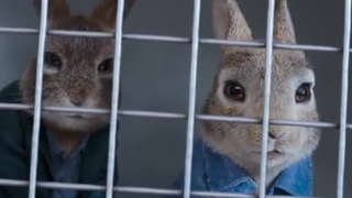 دانلود کامل فیلم پیتر خرگوشه ۲: فراری با دوبله فارسی Peter Rabbit 2 2021