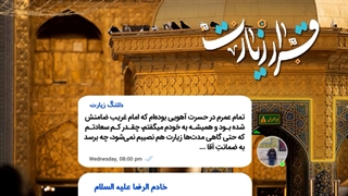 قرار زیارت ، قرار دلتنگی برای ضامن آهو ...