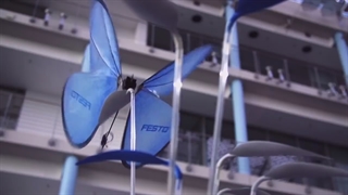 10 عدد از برترین ربات های 2021