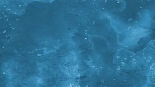 إمرأة شرقیة 2 | کفیفات المملکة