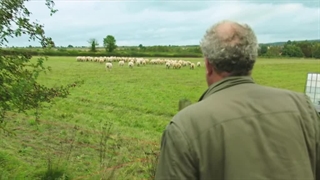 مستند clarksons farm فصل 1 قسمت 2 زیرنویس فارسی