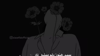 A girl who doesn't pay attention to any boy isn't proud she is a lady
